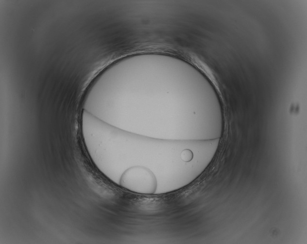 X0000090910059200708271013