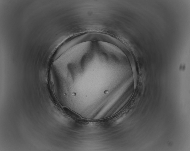 X0000090910060200708271013