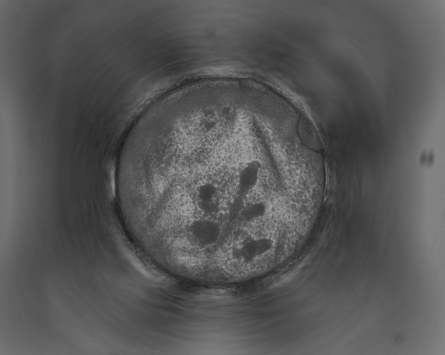 X0000090910061200708271013