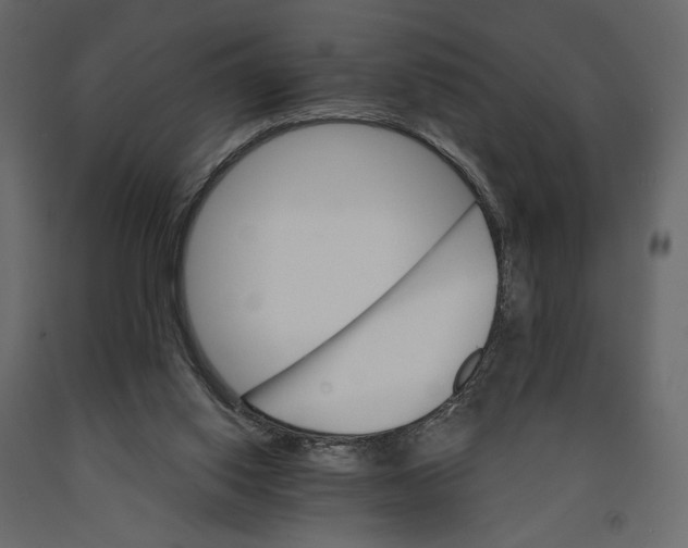 X0000090910062200708271013