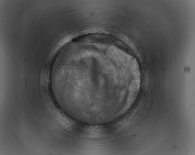 X0000090910063200708271013