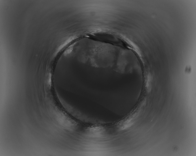 X0000090910067200708271013