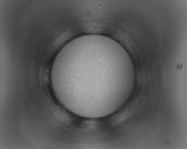 X0000090910071200708271013