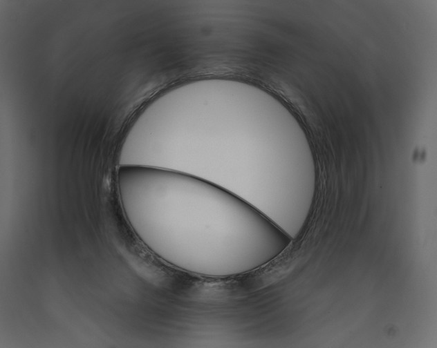 X0000090910072200708271013