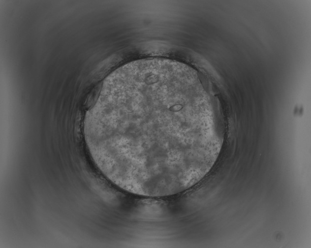 X0000090910073200708271013