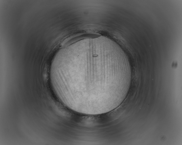 X0000090910074200708271013