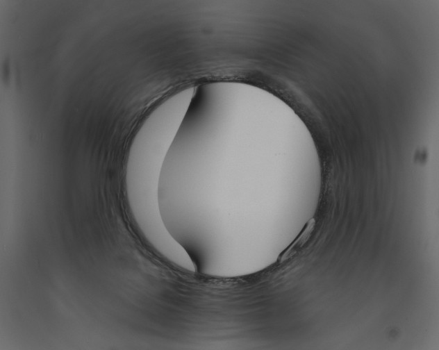 X0000090910076200708271013