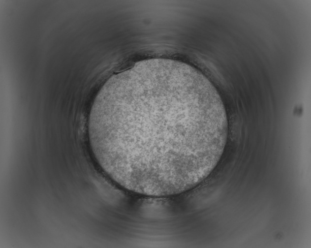 X0000090910077200708271013