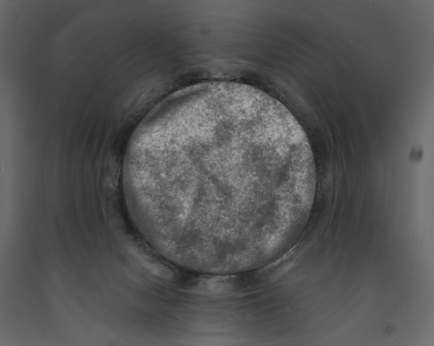 X0000090910078200708271013