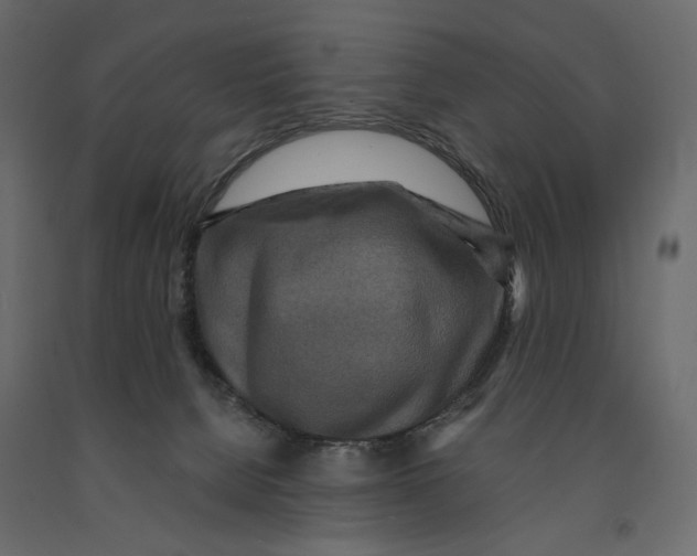 X0000090910080200708271013