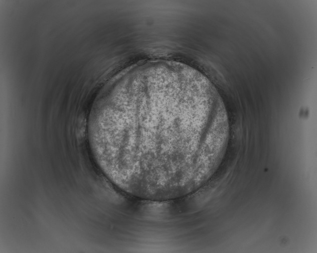 X0000090910081200708271013