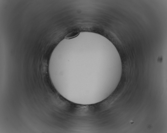 X0000090910083200708271013