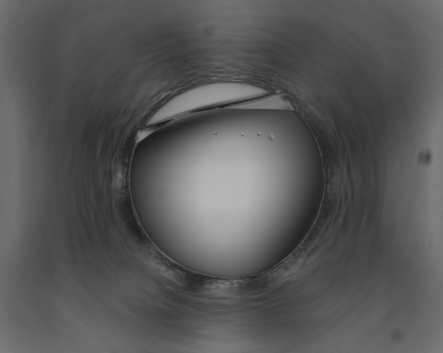 X0000090910084200708271013