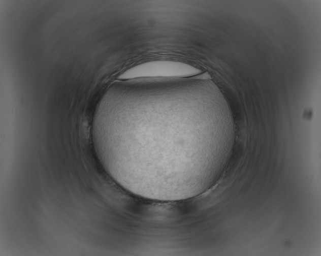 X0000090910086200708271013