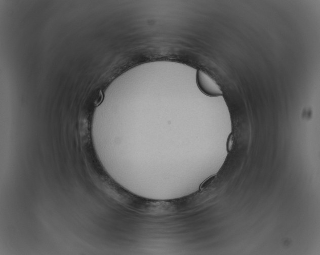 X0000090910087200708271013