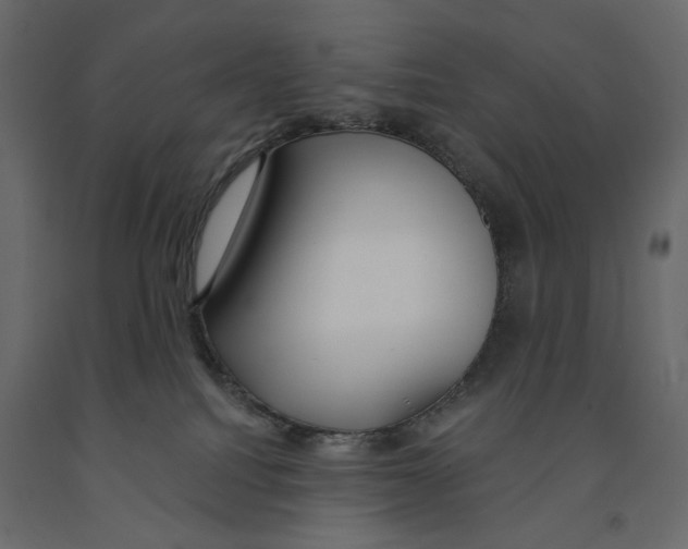 X0000090910088200708271013