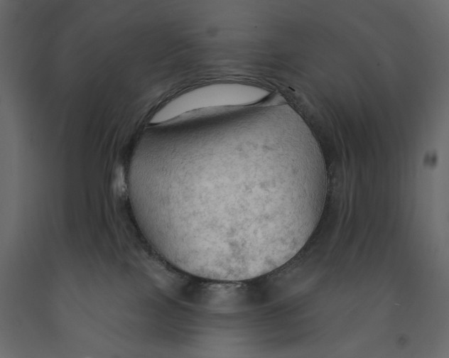 X0000090910089200708271013