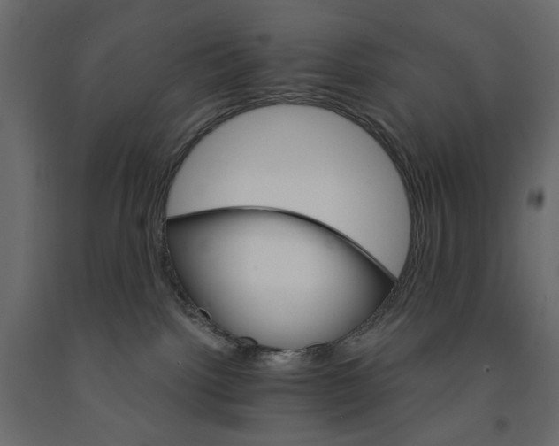 X0000090910092200708271013