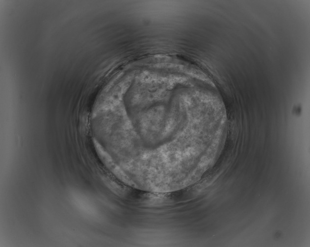 X0000090910093200708271013