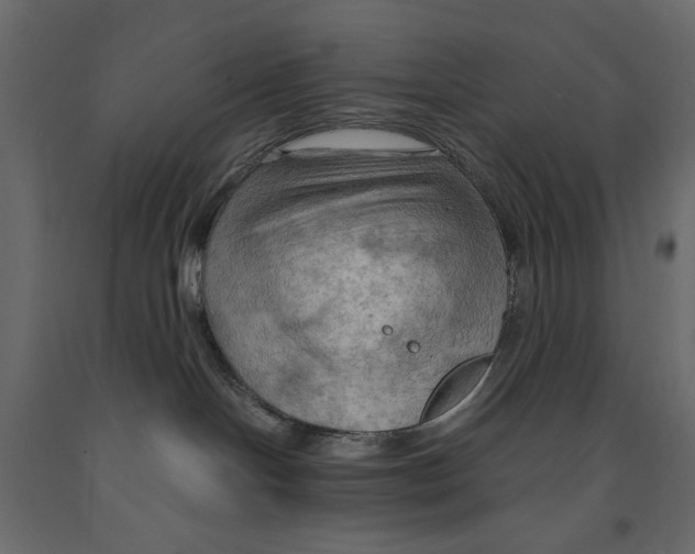 X0000090910094200708271013