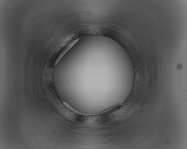 X0000090910096200708271013