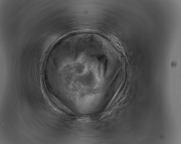 X0000090910097200708271013