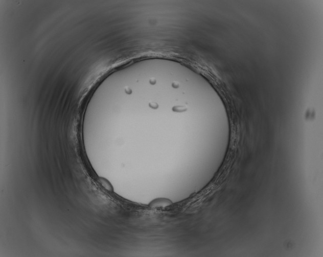 X0000090910098200708271012