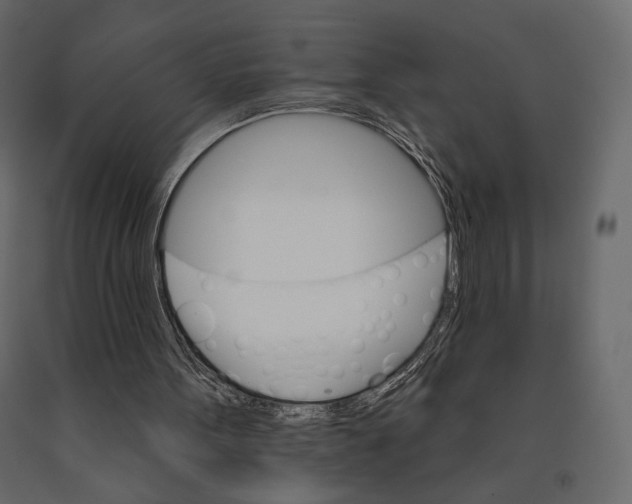 X0000090910099200708271012