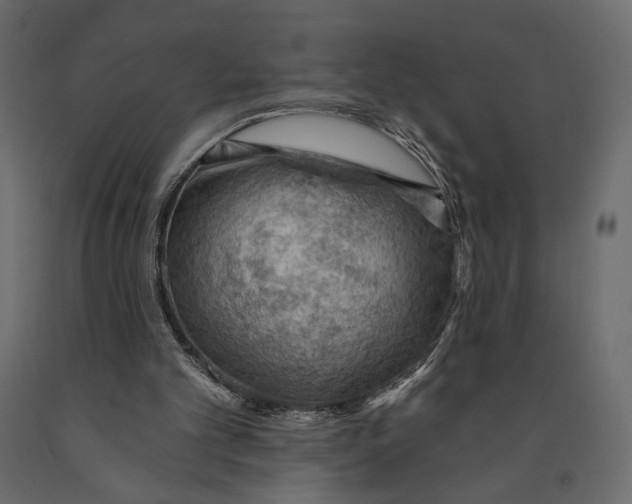 X0000090910101200708271012