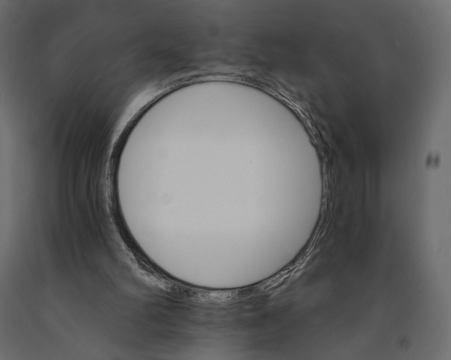 X0000090910102200708271012