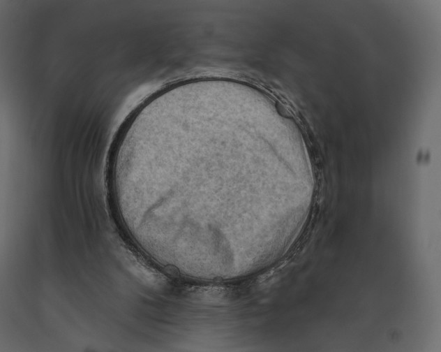 X0000090910104200708271012