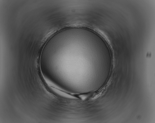 X0000090910105200708271012