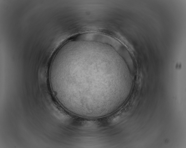 X0000090910107200708271012