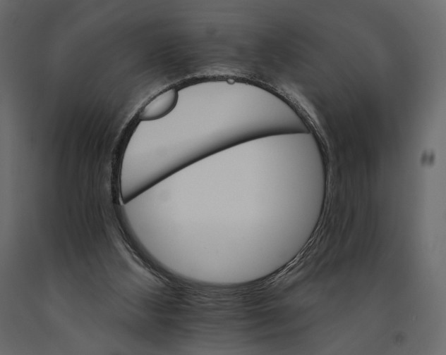 X0000090910108200708271012