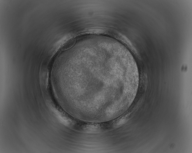 X0000090910110200708271012