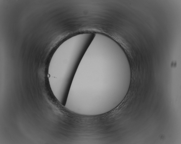 X0000090910112200708271012