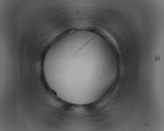 X0000090910113200708271012