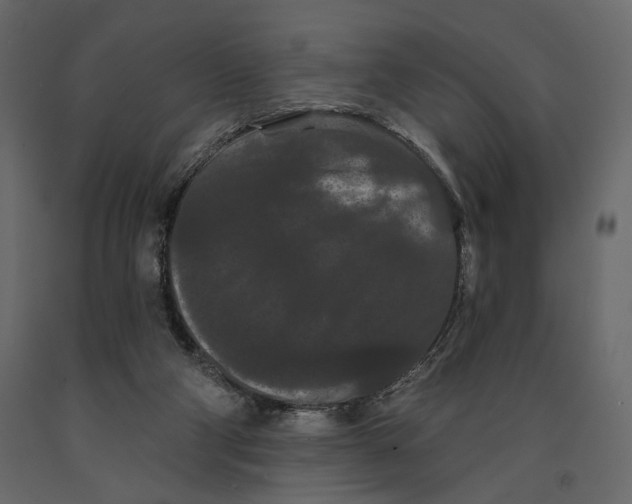 X0000090910114200708271012