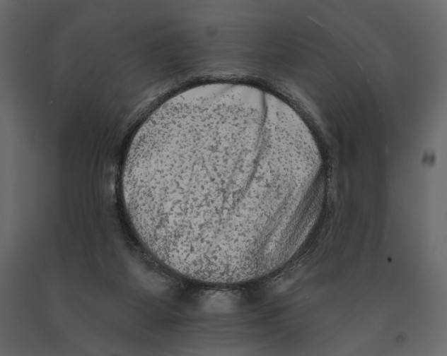 X0000090910115200708271012