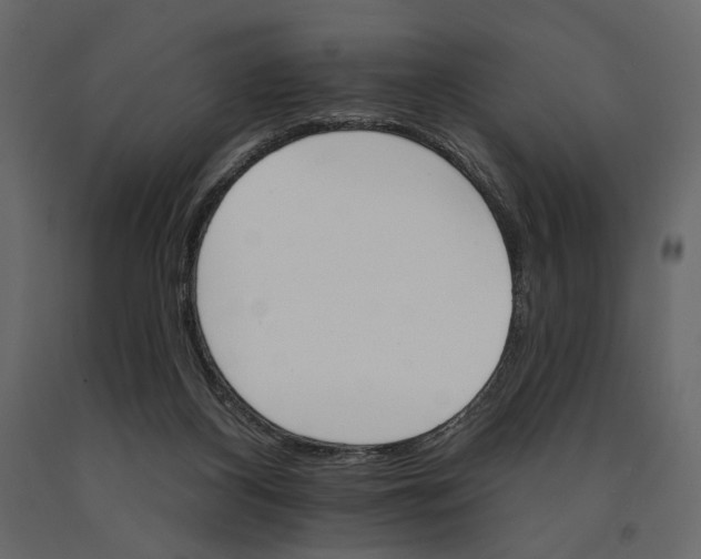 X0000090910116200708271012