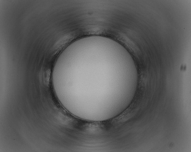 X0000090910118200708271012