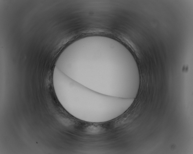 X0000090910119200708271012