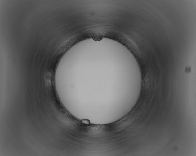 X0000090910122200708271012