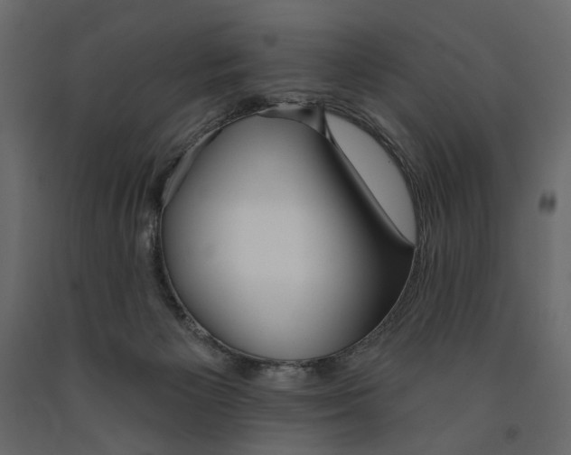 X0000090910125200708271012