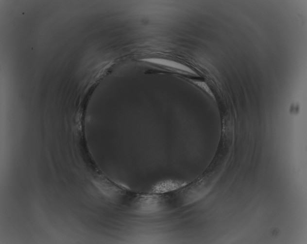 X0000090910127200708271012