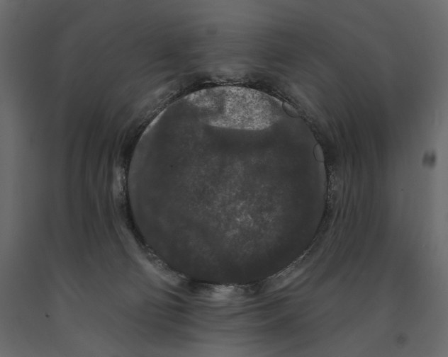 X0000090910130200708271012