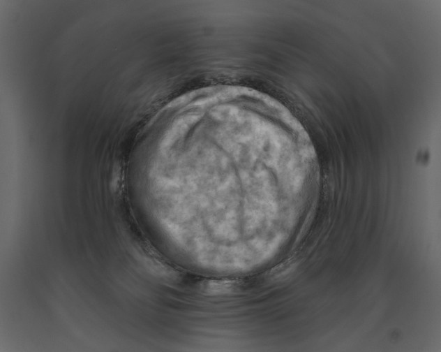 X0000090910134200708271012