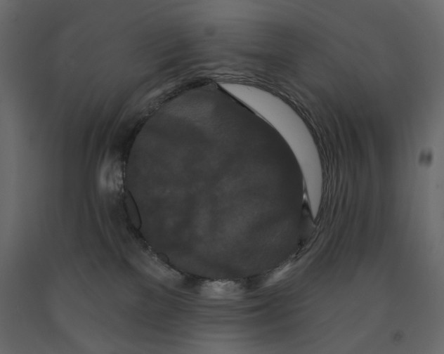 X0000090910137200708271012