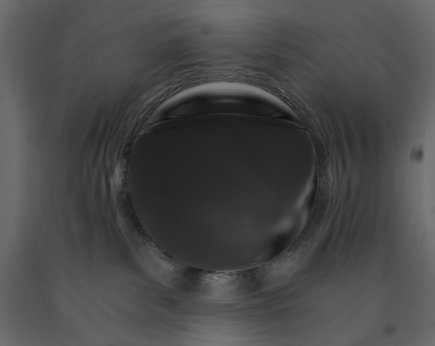 X0000090910139200708271012