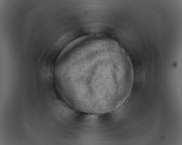 X0000090910140200708271012